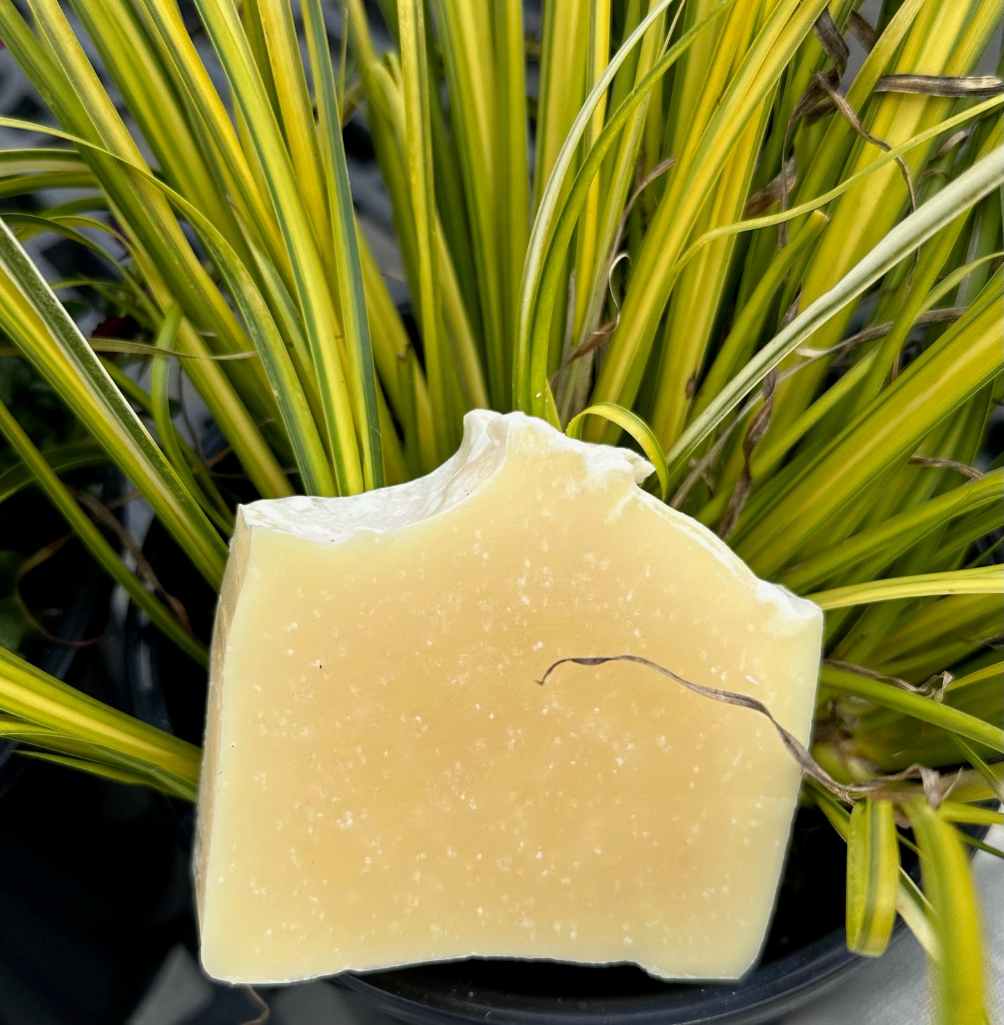 Lemongrass soap